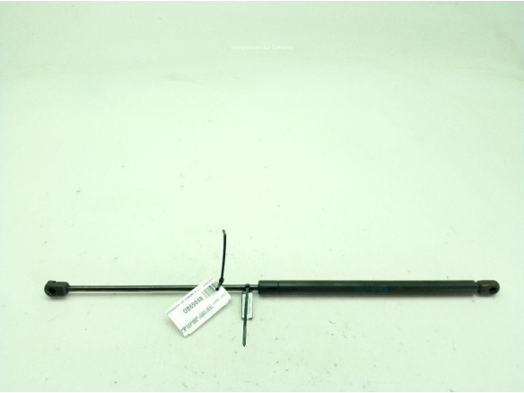 1M0823359A AMORTIGUADOR CAPO SEAT LEON (1M1)|Desguaces La Cabaña