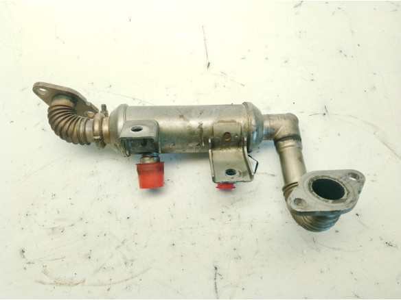 4M509F464BC ENFRIADOR EGR FORD FOCUS II (DA_, HCP)|Desguaces La Cabaña