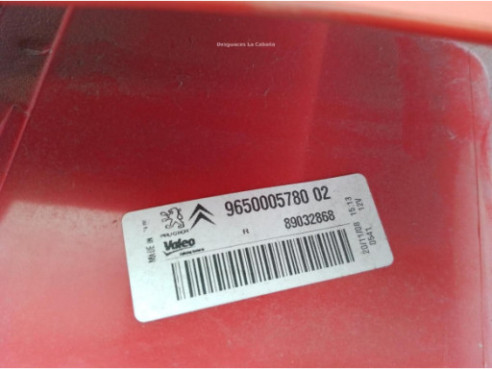 9650005780 PILOTO TRA DER EXT CITROEN XSARA PICASSO (N68)|Desguaces La Cabaña