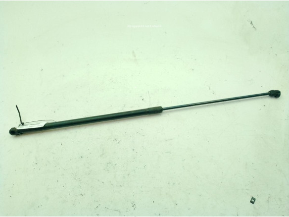 AMORTIGUADOR CAPO VW PASSAT (3C2)|Desguaces La Cabaña