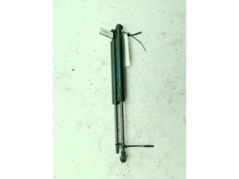 AMORTIGUADOR CAPO BMW 3 Touring (E46)|Desguaces La Cabaña