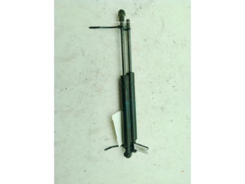 AMORTIGUADOR CAPO BMW 3 Touring (E46)|Desguaces La Cabaña