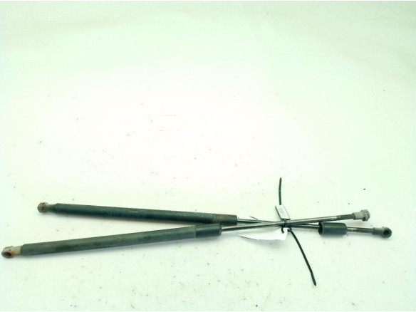 51248232873 AMORTIGUADOR PORTON / TAPA MALETA BMW 3 Touring (E46)|Desguaces La Cabaña