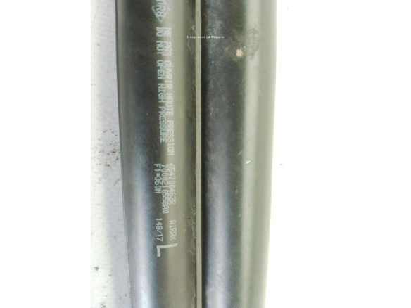654707606R AMORTIGUADOR CAPO RENAULT MEGANE IV (B9A/M_)|Desguaces La Cabaña