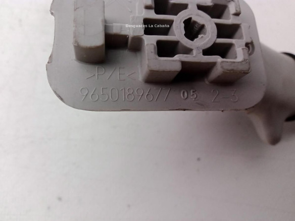 9650189677 ASIDERO TECHO DEL DER CITROEN C3 Picasso|Desguaces La Cabaña