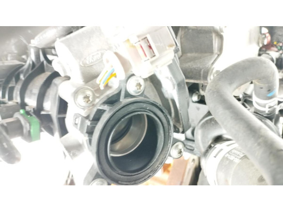 B7JB MOTOR FORD PUMA|Desguaces La Cabaña
