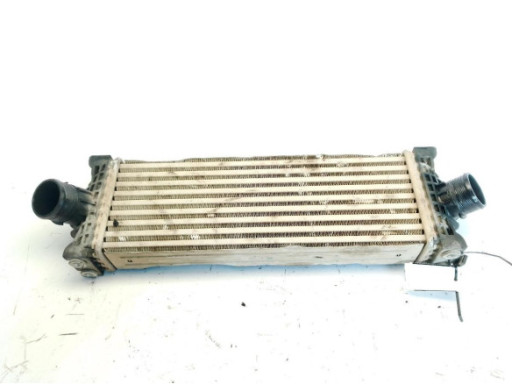 P9675627980 INTERCOOLER PEUGEOT PARTNER Furgón (K9)|Desguaces La Cabaña