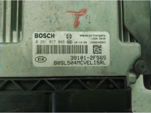 391012F560 CENTRALITA MOTOR KIA SPORTAGE (SL)|Desguaces La Cabaña