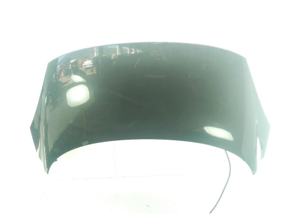 651008842R CAPO RENAULT SCENIC III (JZ0/1_)|Desguaces La Cabaña