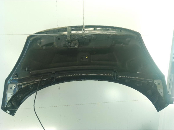 651008842R CAPO RENAULT SCENIC III (JZ0/1_)|Desguaces La Cabaña