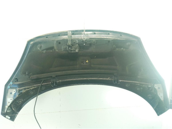 651008842R CAPO RENAULT SCENIC III (JZ0/1_)|Desguaces La Cabaña