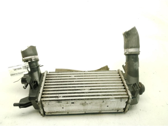 2163154 INTERCOOLER FORD ECOSPORT|Desguaces La Cabaña