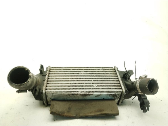 2163154 INTERCOOLER FORD ECOSPORT|Desguaces La Cabaña