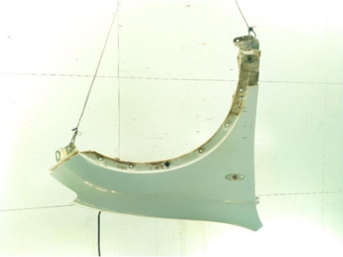 ALETA DEL DER NISSAN QASHQAI +2 (JJ10E)|Desguaces La Cabaña