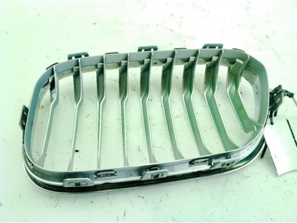 7371686 REJILLA RIÑON DER BMW 1 (F20)|Desguaces La Cabaña