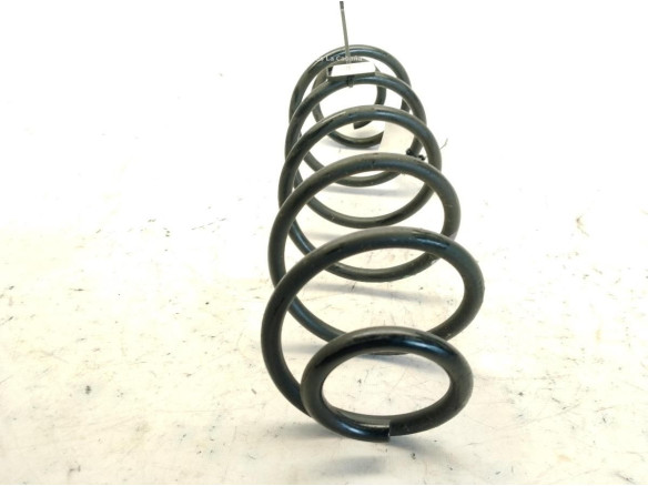 MUELLE SUSPENSION TRA IZQ CITROEN C3 III (SX)|Desguaces La Cabaña