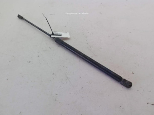 904504EA0A  AMORTIGUADOR PORTON / TAPA MALETA NISSAN QASHQAI II Todo terreno, cerrada (J11, J11_)|Desguaces La Cabaña