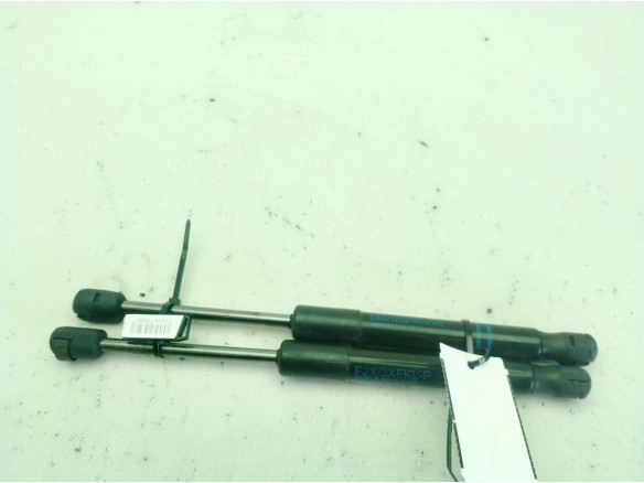 51267239233 AMORTIGUADOR CAPO BMW 4 Gran Coupe (F36)|Desguaces La Cabaña