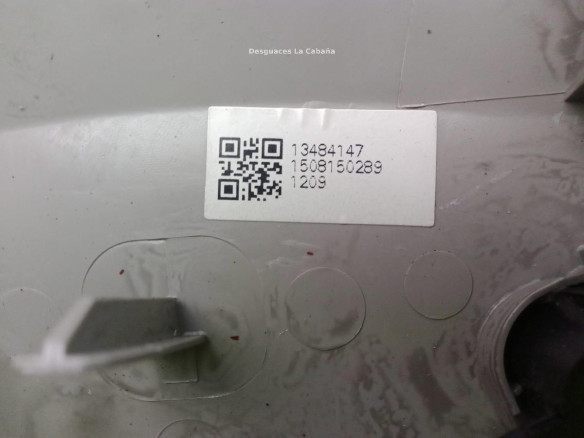 22774316 PLAFON DEL OPEL ZAFIRA TOURER C (P12)|Desguaces La Cabaña