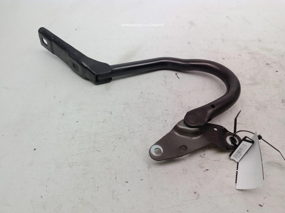 BISAGRA CAPO IZQ OPEL ZAFIRA TOURER C (P12)|Desguaces La Cabaña