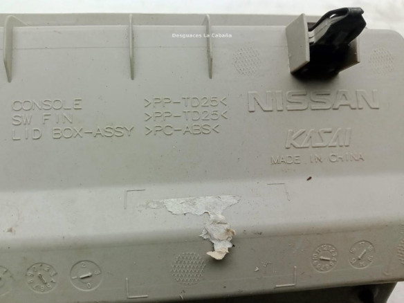 PLAFON DEL NISSAN LEAF (ZE0)|Desguaces La Cabaña