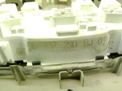 96887290BJ01 PLAFON DEL CITROEN C4 SPACETOURER |Desguaces La Cabaña