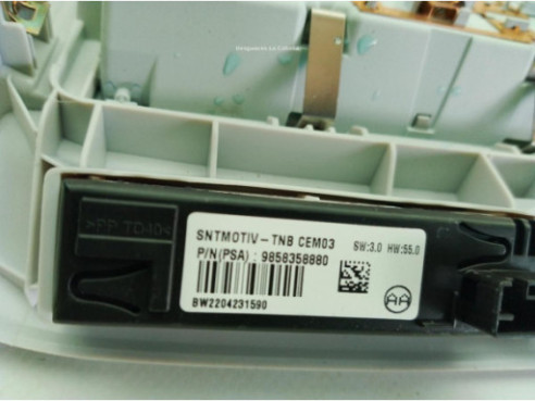 39194309 PLAFON DEL OPEL CROSSLAND X (P17)|Desguaces La Cabaña