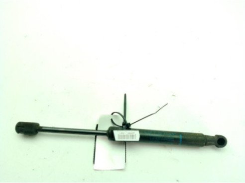 654700008R AMORTIGUADOR CAPO RENAULT GRAND SCENIC III (JZ0/1_)|Desguaces La Cabaña