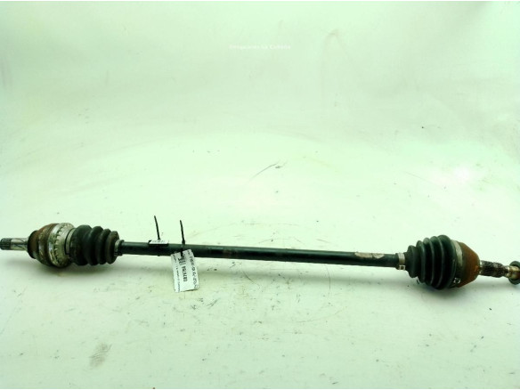 24462241 PALIER DEL DER OPEL ASTRA H (A04)|Desguaces La Cabaña