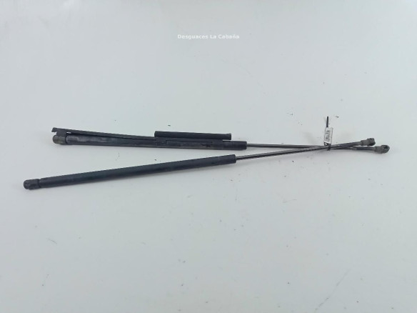 54317111155 AMORTIGUADOR CAPO BMW Z4 Coupé (E86) |Desguaces La Cabaña