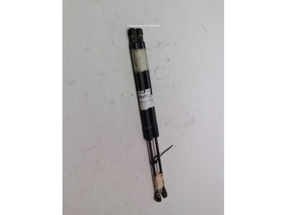 AMORTIGUADOR PORTON / TAPA MALETA RENAULT CLIO IV (BH_)|Desguaces La Cabaña