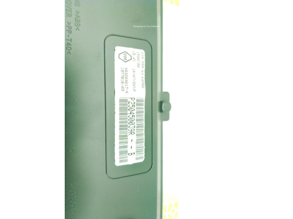 250450039R CUADRO INSTRUMENTOS RENAULT WIND (E4M_)|Desguaces La Cabaña