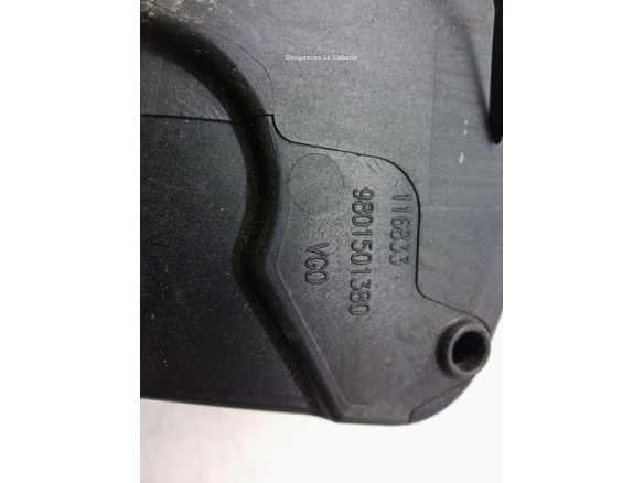 9801501380 TAPA COMBUSTIBLE CITROEN C4 CACTUS|Desguaces La Cabaña