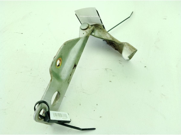 4M4RH BISAGRA CAPO DER NISSAN PATHFINDER III (R51)|Desguaces La Cabaña