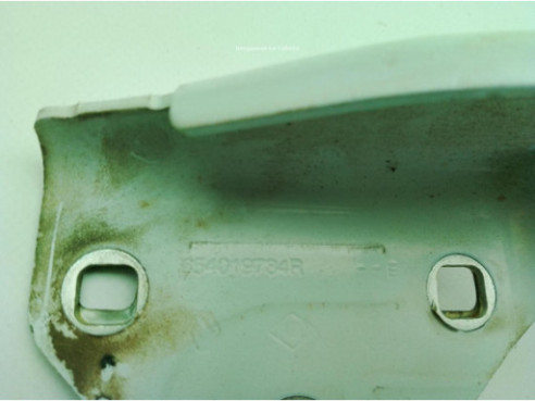 654019784R BISAGRA CAPO IZQ DACIA DUSTER Furgón|Desguaces La Cabaña