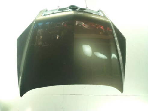 CAPO OPEL ANTARA (L07)|Desguaces La Cabaña