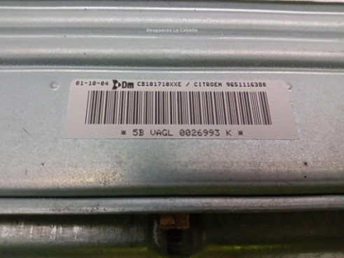 9651116380 AIRBAG DER CITROEN C5 II (RC_)|Desguaces La Cabaña