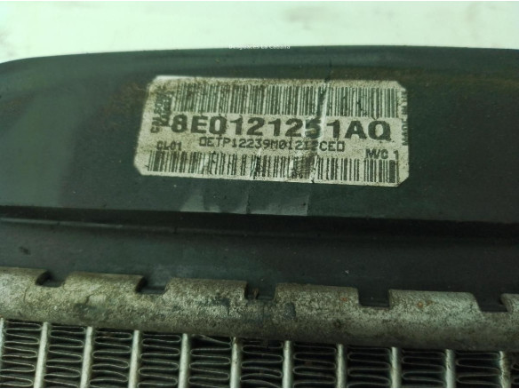 8E0121251AQ RADIADOR AGUA SEAT EXEO (3R2)|Desguaces La Cabaña