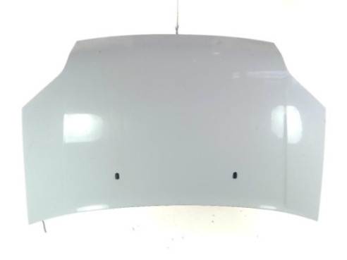 CAPO FORD TRANSIT CONNECT (P65_, P70_, P80_) |Desguaces La Cabaña