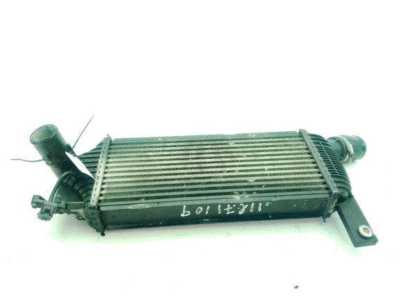 14461EB360 INTERCOOLER NISSAN PATHFINDER III (R51)|Desguaces La Cabaña