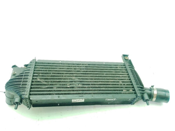 14461EB360 INTERCOOLER NISSAN PATHFINDER III (R51)|Desguaces La Cabaña