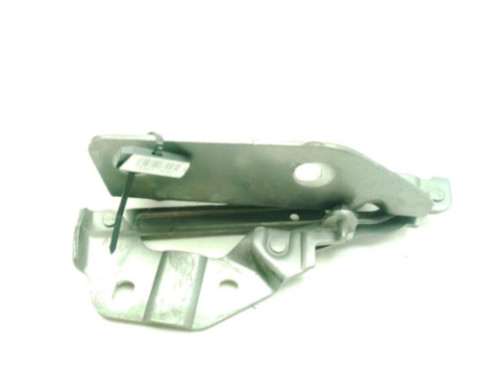 FK7216801AE BISAGRA CAPO IZQ LAND ROVER DISCOVERY SPORT (L550)|Desguaces La Cabaña