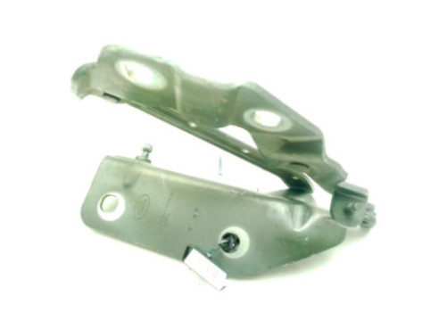FK7216800AE BISAGRA CAPO DER LAND ROVER DISCOVERY SPORT (L550)|Desguaces La Cabaña