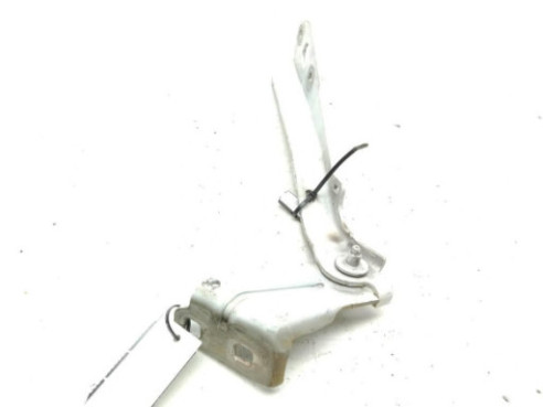 BISAGRA CAPO DERECHA|Desguaces La Cabaña 2