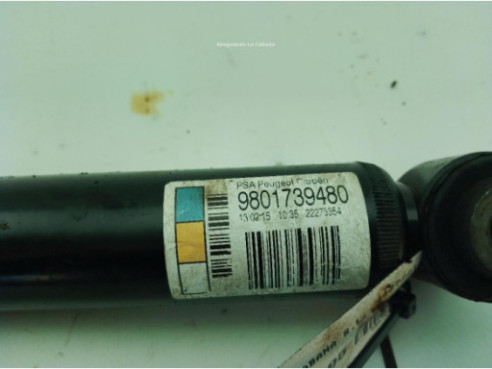 9801739480 AMORTIGUADOR TRA IZQ CITROEN C3 II|Desguaces La Cabaña