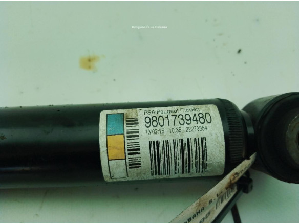 9801739480 AMORTIGUADOR TRA IZQ CITROEN C3 II|Desguaces La Cabaña