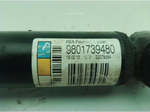 9801739480 AMORTIGUADOR TRA DER CITROEN C3 II|Desguaces La Cabaña