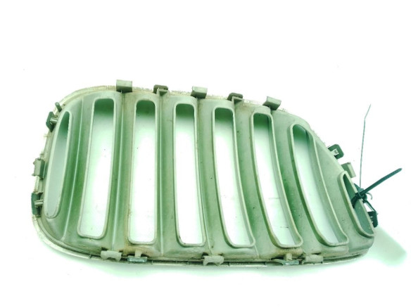 REJILLA RIÑON IZQ BMW X5 (E53)|Desguaces La Cabaña