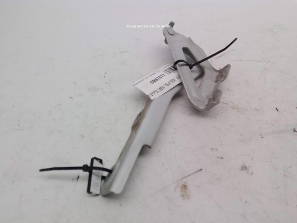BISAGRA CAPO IZQ SUZUKI VITARA (LY)|Desguaces La Cabaña