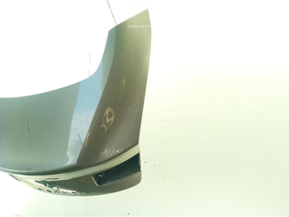 PORTON RENAULT LAGUNA Coupé (DT0/1)|Desguaces La Cabaña